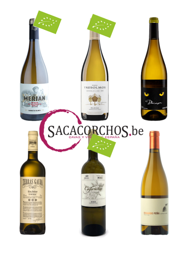 Colis découverte . Série "Vins blancs - Cépages espagnols"
