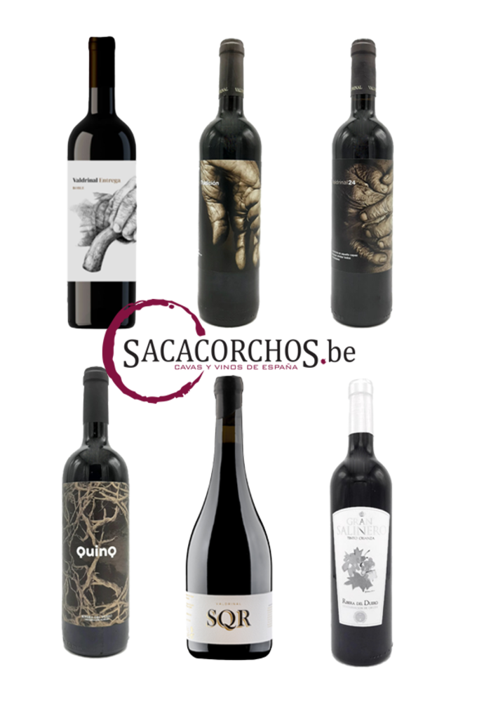 Colis découverte . Série "Vins rouges de Ribera del Duero"
