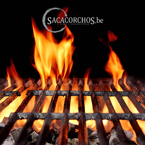 Quel vin choisir avec le barbecue ?