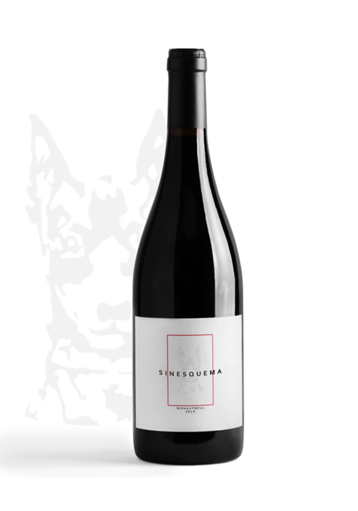 Jorge Piernas - Sinesquema 2023