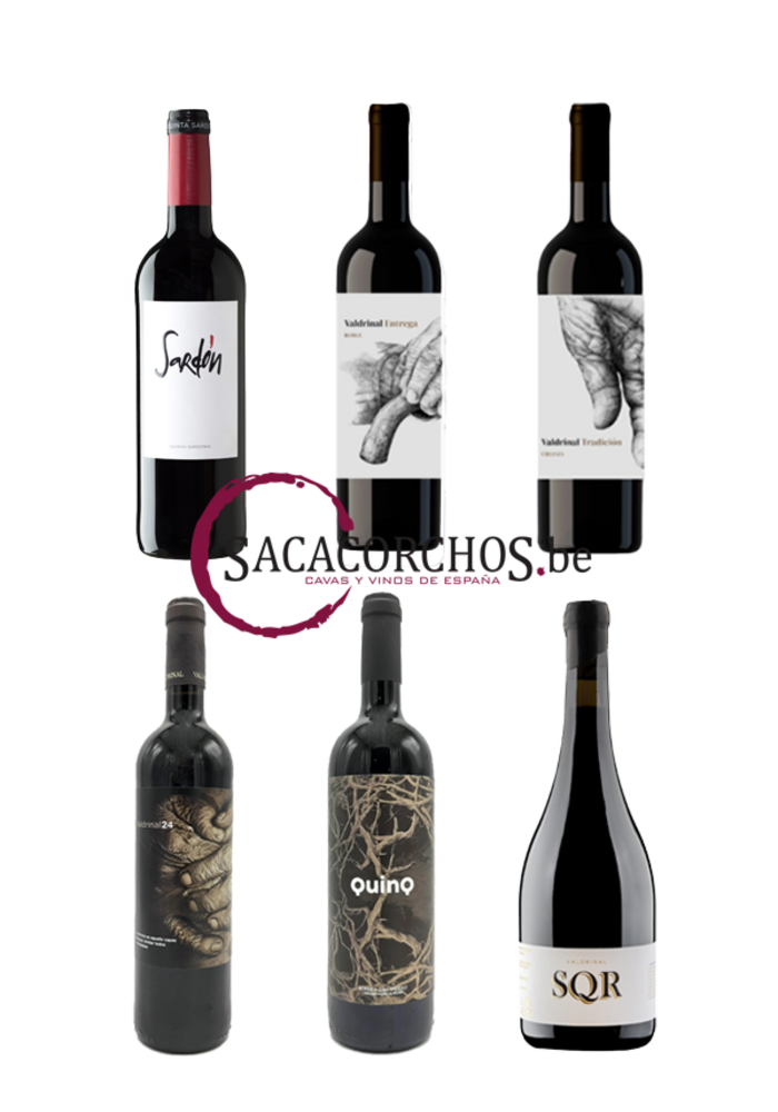 Ontdekkingspakket . Serie "Rode wijnen uit Ribera del Duero"