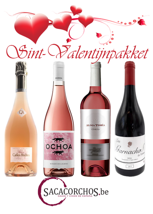 Divers Ontdekkingspakket . Sint-Valentijn