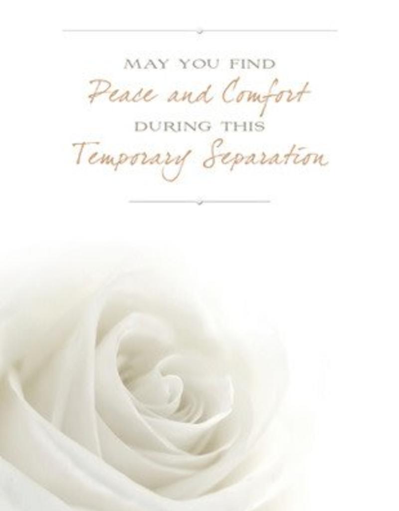 White Rose Sympathy Greeting Card By Milestone Greetings