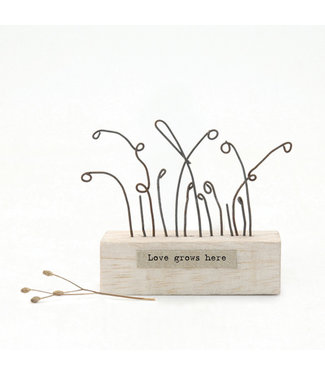 Wood scene-Wild flowers/Love grows