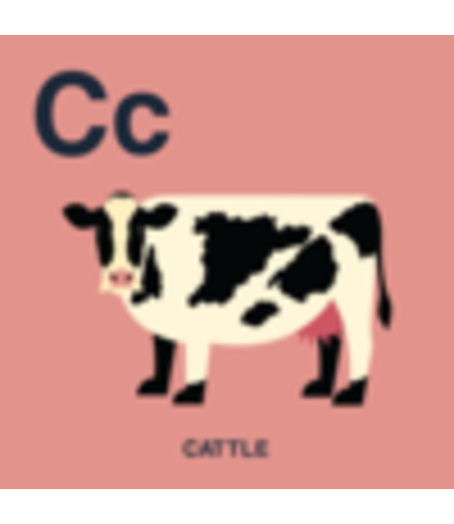 Book of Mormon ABC's (Latter Day Baby board book)