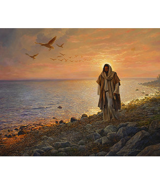 In The World Not Of The World 11x14 Paper Print Greg Olsen