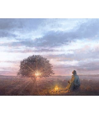 The Light of Life Yongsung Kim 11x14 print only