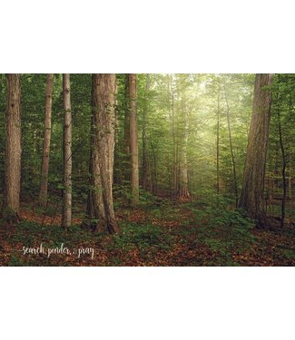 THE SACRED GROVE - SEARCH PONDER AND PRAY 12X18 REPOSITIONABLE POSTER BY ROBERT A BOYD