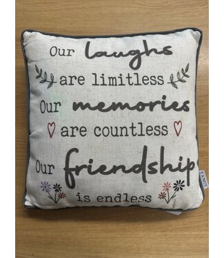 FRIENDSHIP CUSHION WITH FLOWERS & GREY BRAIDED EFFECT LETTERING