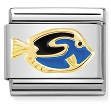 Nomination Link 030272/41 Surgeon Fish