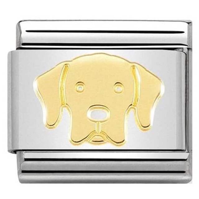 Nomination Link - 030162-57 - Classic SYMBOLS - Labrador Retriever Nomination Link - 030162-57 - Classic SYMBOLS - Labrador Retriever