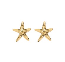 iXXXi Jewelry Ear studs Starfish - Goudkleurig