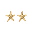 iXXXi Jewelry iXXXi Jewelry Ear studs Starfish - Goudkleurig