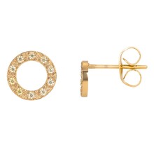 iXXXi Jewelry  Ear studs Circle Stone 10mm - Goudkleurig