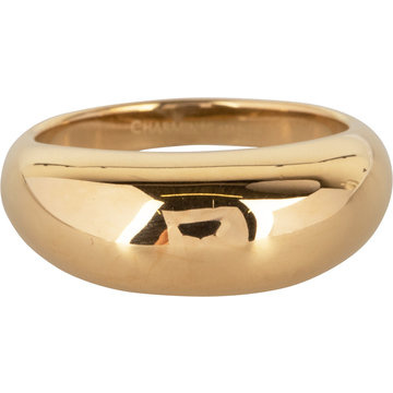 Charmin*s Charmin's R994 Chunky Smooth Goldplated Steel Ring