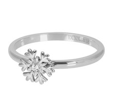 iXXXi Jewelry Vulring 2mm Snowflake Zilver