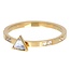 iXXXi Jewelry iXXXi Jewelry Vulring Expression Triangle 2mm Goudkleurig