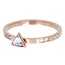 iXXXi Jewelry iXXXi Jewelry Vulring Expression Triangle 2mm Rosé
