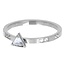 iXXXi Jewelry iXXXi Jewelry Vulring Expression Triangle 2mm Zilverkleurig