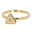 iXXXi Jewelry iXXXi Jewelry Vulring Design Triangle 2mm Goudkleurig