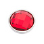 iXXXi Jewelry iXXXi Jewelry Top Part Facet Red Zilverkleurig