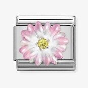 Nomination Link - 330321-05 - Classic CL SYMBOLS - Rose Flower Nomination Link - 330321-05 - Classic CL SYMBOLS - Rose Flower