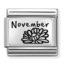 Nomination Nomination Link Birth Month Flower November 330112-23
