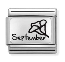 Nomination Link Birth Month Flower September 330112-21