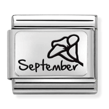 Nomination Nomination Link Birth Month Flower September 330112-21