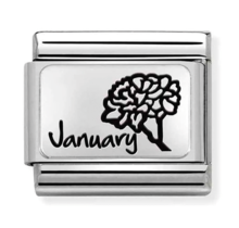 Nomination Link - 330112-13 - Classic MONTH FLOWER PLATES - January