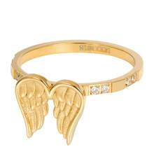 iXXXi Jewelry Vulring Wings 2mm Goudkleurig