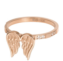 iXXXi Jewelry Vulring Wings 2mm Rosé