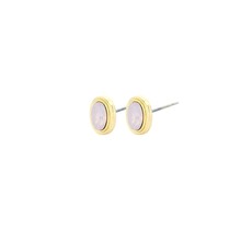 OVALE STUDS ROZE STEENTJE