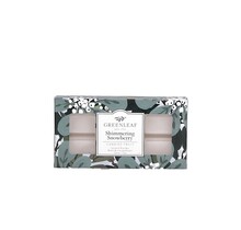 Shimmering Snowberry Geur waxmelt-L8B14,5H2,5CM