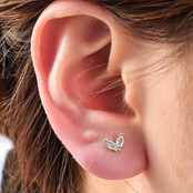 PIERCING ZIRCONIA LEAF GOUD EP420-2