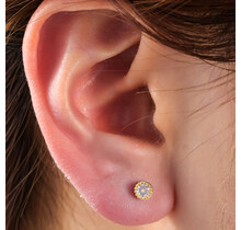 PIERCING ZIRCONIA STONE GOUD EP424-2
