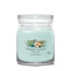 Yankee Candle Aloe & Agave Signature Medium Jar