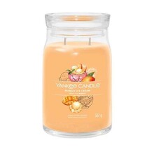 Mango Ice Cream Signature Large Jar