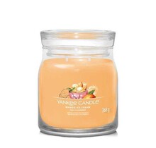 Mango Ice Cream Signature Medium Jar