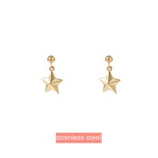 STAR STUD OORBELLEN E4328-2
