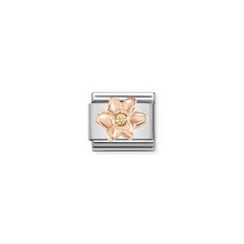 Nomination Link Rosékleurig - 430305-13 - Classic SYMBOLS IN STAINLESS STEEL WITH 9K ROSE GOLD AND CZ - Daffodil