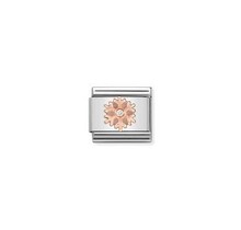 Nomination Link Rosékleurig - 430305-23 - Classic SYMBOLS IN STAINLESS STEEL WITH 9K ROSE GOLD AND CZ - Snowflake
