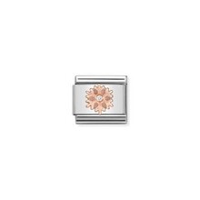 Nomination Link Rosékleurig - 430305-23 - Classic SYMBOLS IN STAINLESS STEEL WITH 9K ROSE GOLD AND CZ - Snowflake