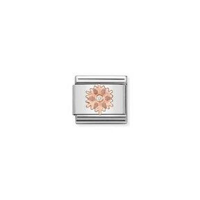 Nomination Link Rosékleurig - 430305-23 - Classic SYMBOLS IN STAINLESS STEEL WITH 9K ROSE GOLD AND CZ - Snowflake
