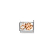 Nomination Link Rosékleurig - 430305-52 - Classic SYMBOLS IN STAINLESS STEEL WITH 9K ROSE GOLD AND CZ - Rounded Four Leaf Clover Nomination Link Rosékleurig - 430305-52 - Classic SYMBOLS IN STAINLESS STEEL WITH 9K ROSE GOLD AND CZ - Rounded Four Leaf Clover