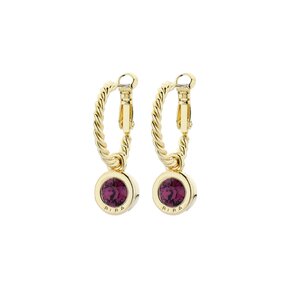 Goudkleurige  Simply Chic Amethyst Creolen  83068