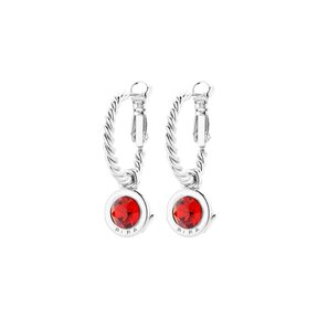 Zilverkleurige Simply Chic Creolen Lt.Siam 83069