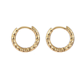 Hammerite Hoop Medium Oorbellen Goud E2212-2
