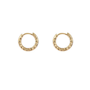 Hammerrite Hoop Small Oorbellen E,Goud 2211-2