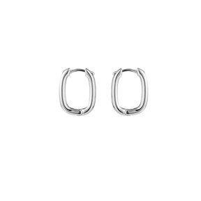Oval Hoop Oorbellen E1095-1 Zilver